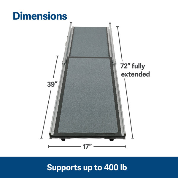 Telescopic ramp for store dogs